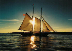 Schooner Lannon